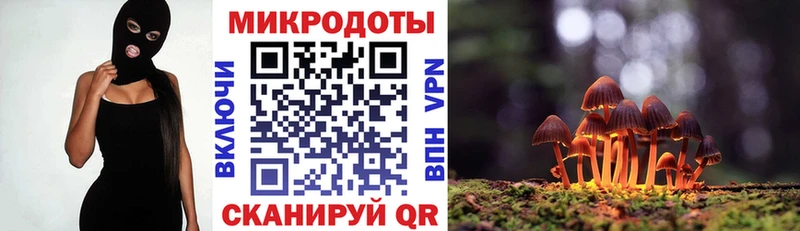 Псилоцибиновые грибы мицелий  где можно купить наркотик  Сорочинск 